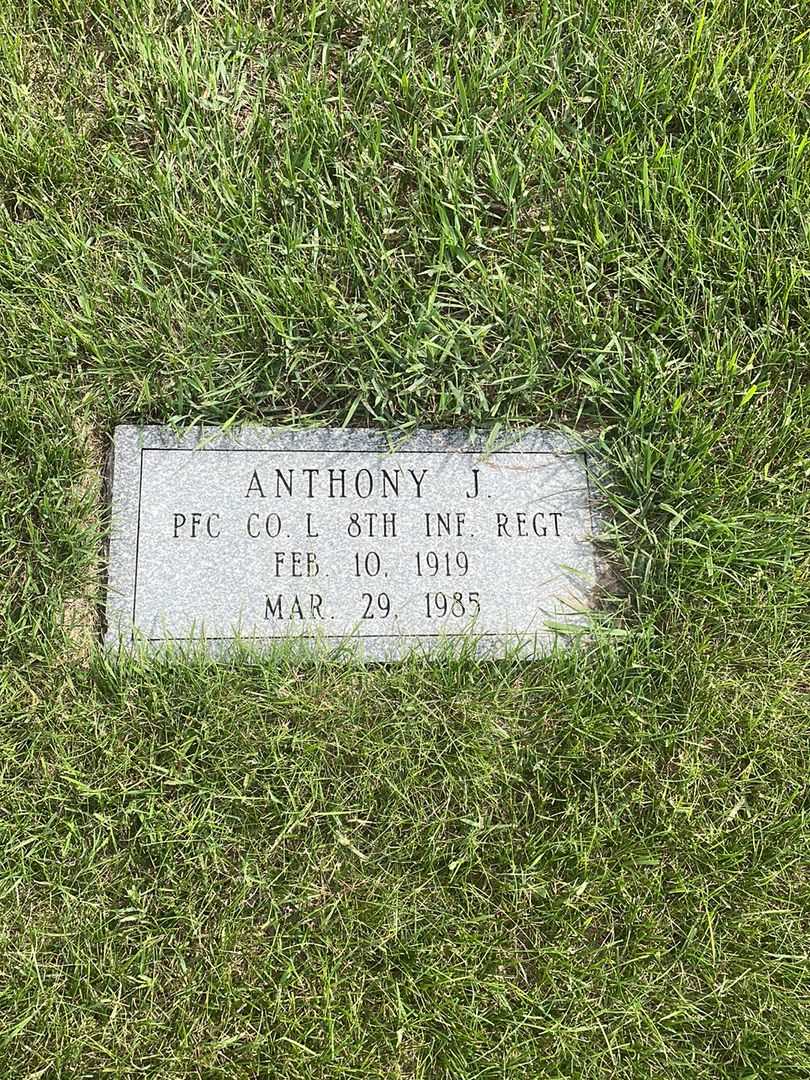 Anthony J. Robatcek's grave. Photo 3