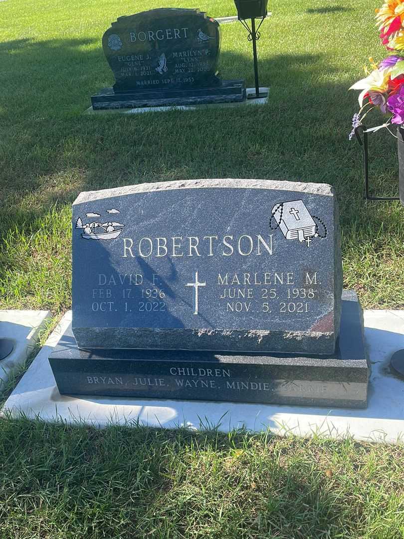 David F. Robertson's grave. Photo 2