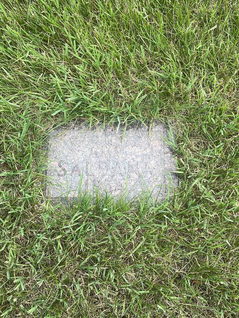 Amy Louise Saldana's grave. Photo 2